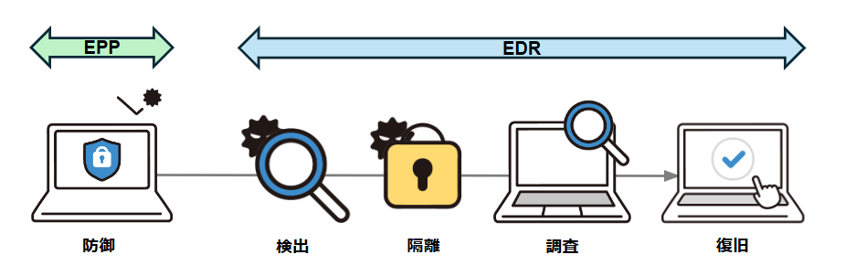 ウイルス感染時のフロー_EPPとEDR.png